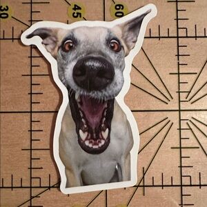 💜13/$13 +Bundle Sticker Sale | Dog Animal Waterproof Sticker